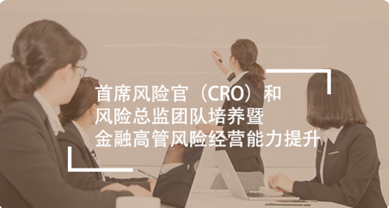 首席风险官（CRO）和风险总监团队培养 暨金融高管风险经营能力提升