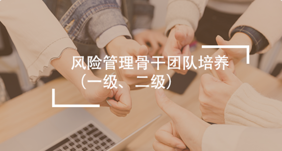 风险管理骨干团队培养（一级、二级）