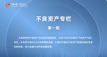 不良资产专栏专栏第一期