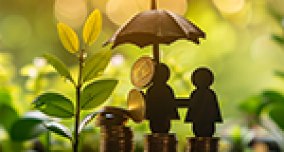 社群：养老金融【年度】